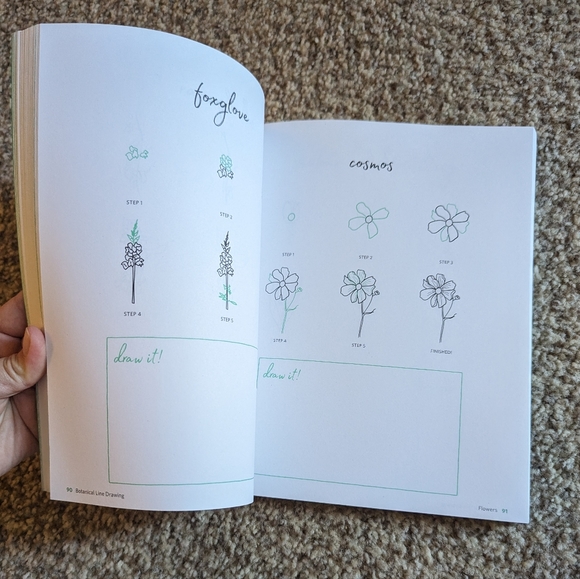 Botanical Line Drawing 200 Step-by-step cacti, leaves, flowers, succulents - Picture 8 of 16